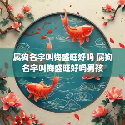属狗名字叫梅盛旺好吗 属狗名字叫梅盛旺好吗男孩