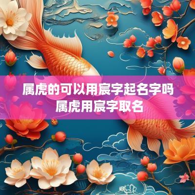属虎的可以用宸字起名字吗 属虎用宸字取名
