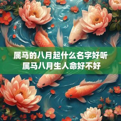 属马的八月起什么名字好听 属马八月生人命好不好