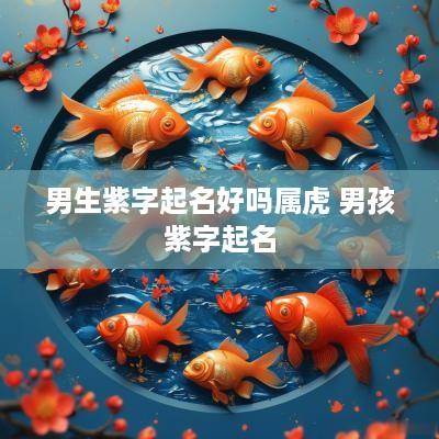 男生紫字起名好吗属虎 男孩紫字起名