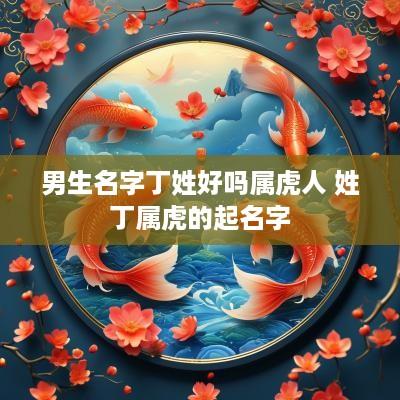 男生名字丁姓好吗属虎人 姓丁属虎的起名字