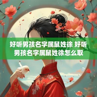 好听男孩名字属鼠姓徐 好听男孩名字属鼠姓徐怎么取