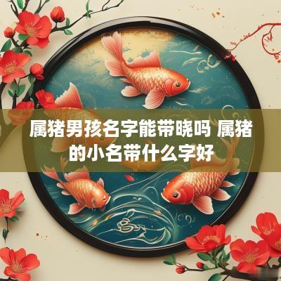 属猪男孩名字能带晓吗 属猪的小名带什么字好