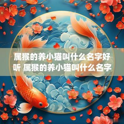 属猴的养小猫叫什么名字好听 属猴的养小猫叫什么名字好听点