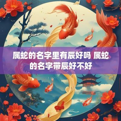 属蛇的名字里有辰好吗 属蛇的名字带辰好不好