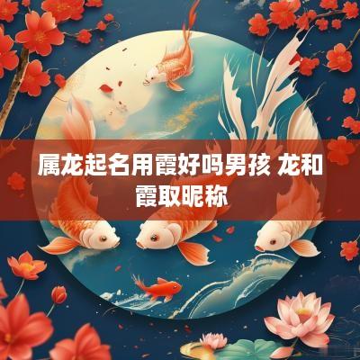 属龙起名用霞好吗男孩 龙和霞取昵称