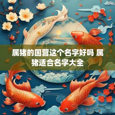 属猪的国营这个名字好吗 属猪适合名字大全