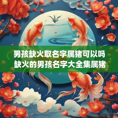 男孩缺火取名字属猪可以吗 缺火的男孩名字大全集属猪