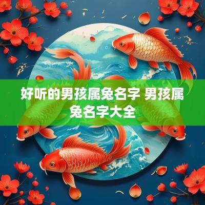 好听的男孩属兔名字 男孩属兔名字大全