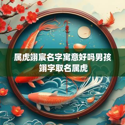 属虎翊宸名字寓意好吗男孩 翊字取名属虎