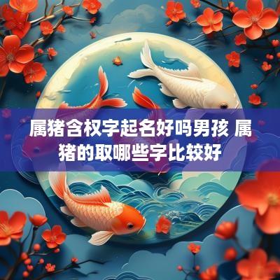 属猪含权字起名好吗男孩 属猪的取哪些字比较好