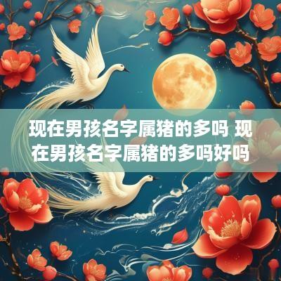 现在男孩名字属猪的多吗 现在男孩名字属猪的多吗好吗