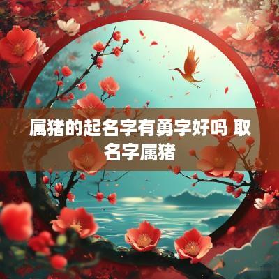 属猪的起名字有勇字好吗 取名字属猪