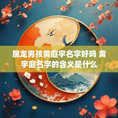 属龙男孩黄庭宇名字好吗 黄宇庭名字的含义是什么
