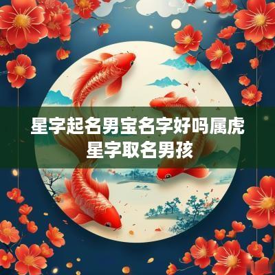 星字起名男宝名字好吗属虎 星字取名男孩