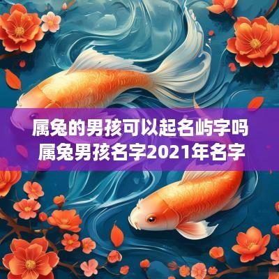 属兔的男孩可以起名屿字吗 属兔男孩名字2025年名字大全