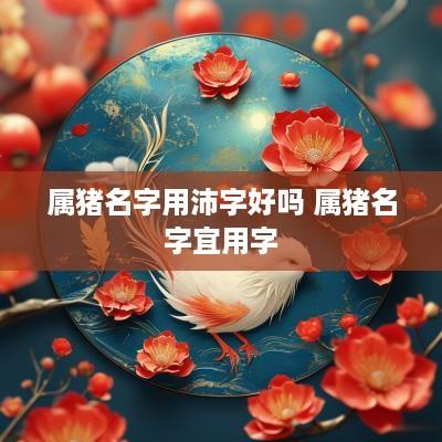 属猪名字用沛字好吗 属猪名字宜用字