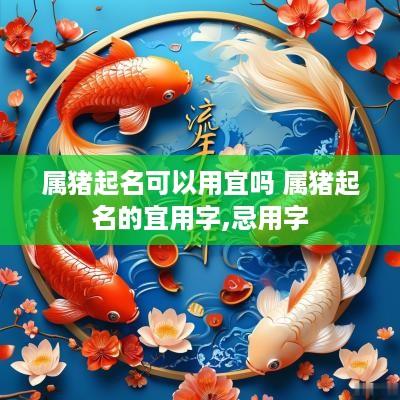 属猪起名可以用宜吗 属猪起名的宜用字,忌用字