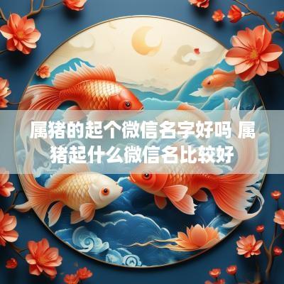 属猪的起个微信名字好吗 属猪起什么微信名比较好