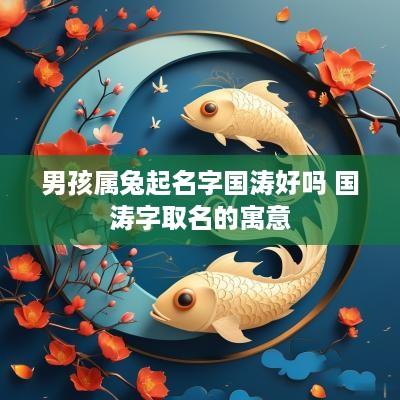 男孩属兔起名字国涛好吗 国涛字取名的寓意