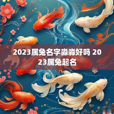 2025属兔名字淼淼好吗 2025属兔起名