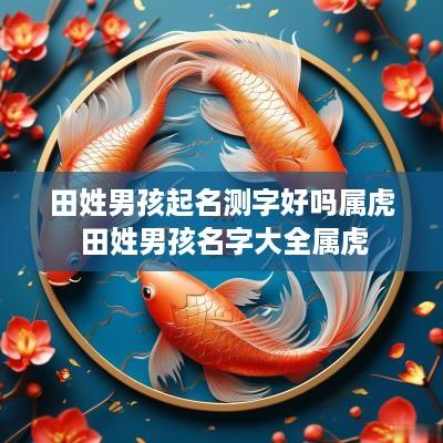 田姓男孩起名测字好吗属虎 田姓男孩名字大全属虎