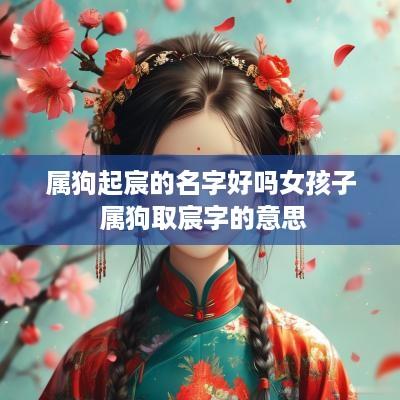 属狗起宸的名字好吗女孩子 属狗取宸字的意思