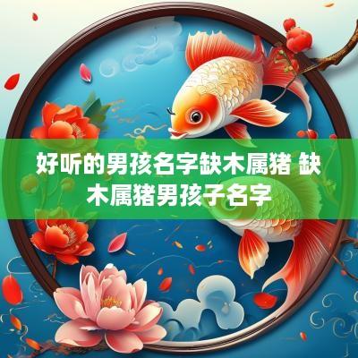 好听的男孩名字缺木属猪 缺木属猪男孩子名字