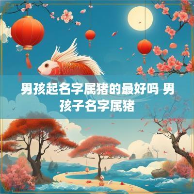 男孩起名字属猪的最好吗 男孩子名字属猪
