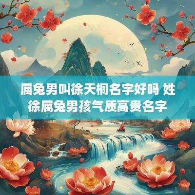 属兔男叫徐天桐名字好吗 姓徐属兔男孩气质高贵名字