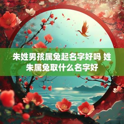 朱姓男孩属兔起名字好吗 姓朱属兔取什么名字好