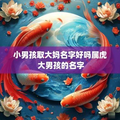 小男孩取大妈名字好吗属虎 大男孩的名字