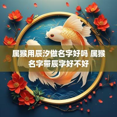 属猴用辰汐做名字好吗 属猴名字带辰字好不好