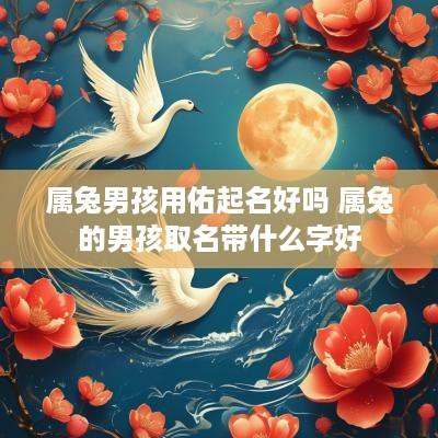属兔男孩用佑起名好吗 属兔的男孩取名带什么字好