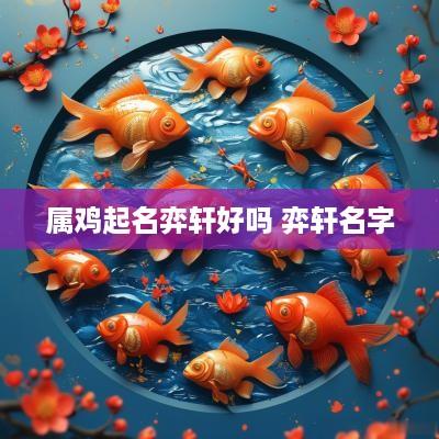 属鸡起名弈轩好吗 弈轩名字
