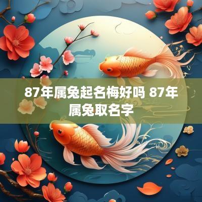 87年属兔起名梅好吗 87年属兔取名字