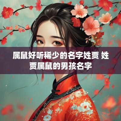 属鼠好听稀少的名字姓贾 姓贾属鼠的男孩名字