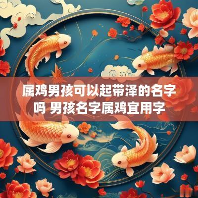 属鸡男孩可以起带泽的名字吗 男孩名字属鸡宜用字