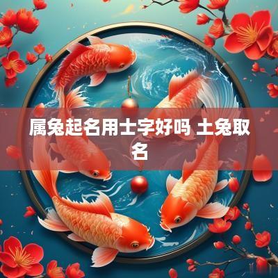 属兔起名用士字好吗 土兔取名