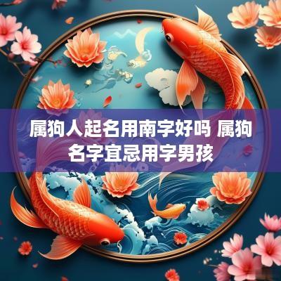 属狗人起名用南字好吗 属狗名字宜忌用字男孩