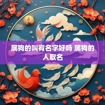 属狗的叫宥名字好吗 属狗的人取名
