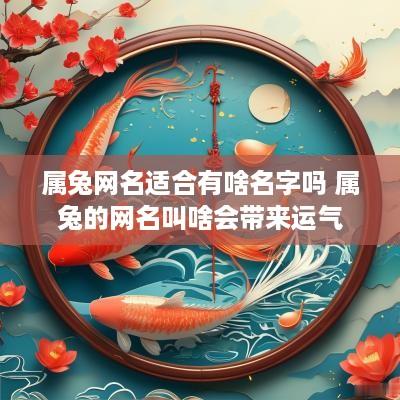 属兔网名适合有啥名字吗 属兔的网名叫啥会带来运气