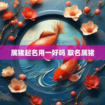 属猪起名用一好吗 取名属猪