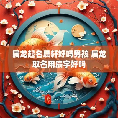 属龙起名晨轩好吗男孩 属龙取名用辰字好吗