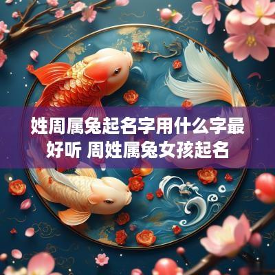 姓周属兔起名字用什么字最好听 周姓属兔女孩起名