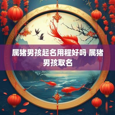 属猪男孩起名用程好吗 属猪男孩取名