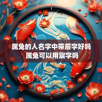 属兔的人名字中带辰字好吗 属兔可以用宸字吗