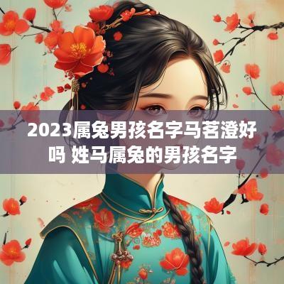 2025属兔男孩名字马茗澄好吗 姓马属兔的男孩名字
