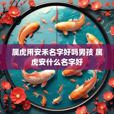 属虎用安禾名字好吗男孩 属虎安什么名字好
