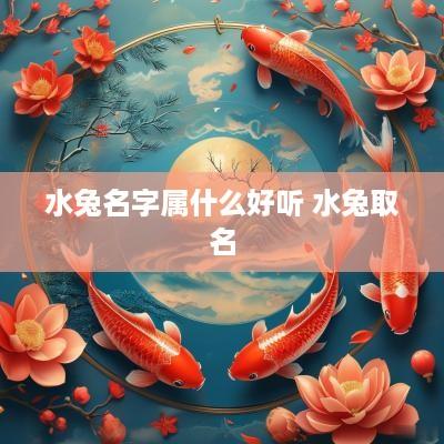 水兔名字属什么好听 水兔取名